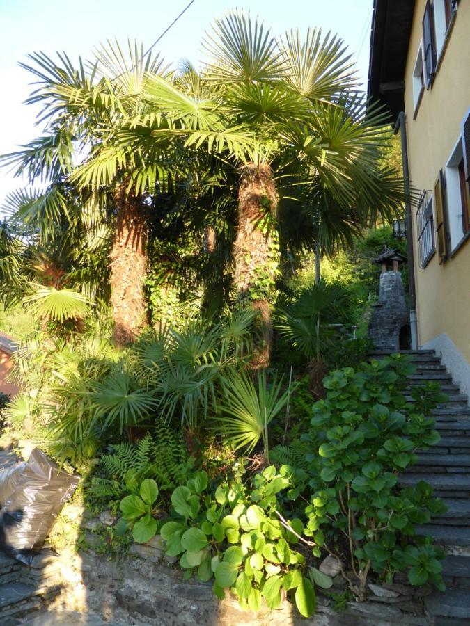 GambarognoCasa Petra 1 1/2 Zi, Orgnana 83公寓 外观 照片