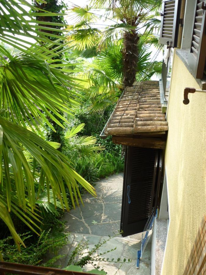 GambarognoCasa Petra 1 1/2 Zi, Orgnana 83公寓 外观 照片